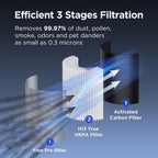 Air Purifiers Black and white